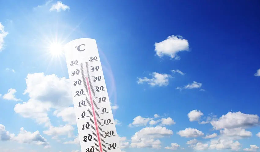 In High Temperatures, a Standard Compressed Air Package Won’t Work. Here’s What Will