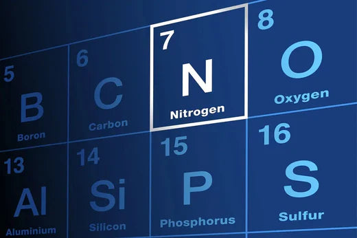Nitrogen Generator Complete 2024 Buyers Guide